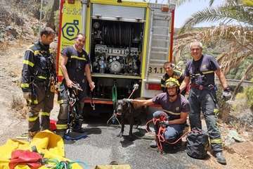 Animales rescatados en Telde/TA.